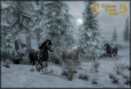 Skyrim — Табуны диких лошадей | Horses Gone Wild