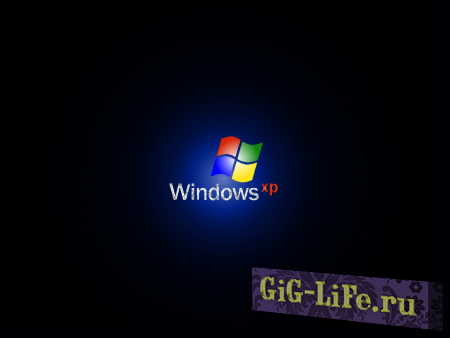 Популярность Windows XP не снижается