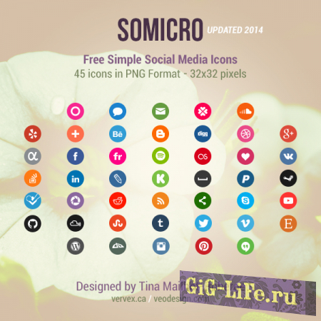 Somicro: 45 Social Media Icons - 45 значков социальных сетей