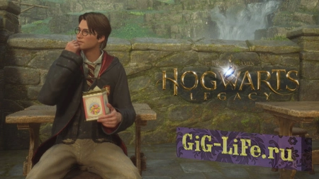 Hogwarts Legacy — Анимации погружения | Immersion animations