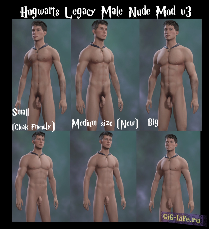 Hogwarts Legacy — Обнаженный персонаж мужского пола с настройками | Naked Male Character