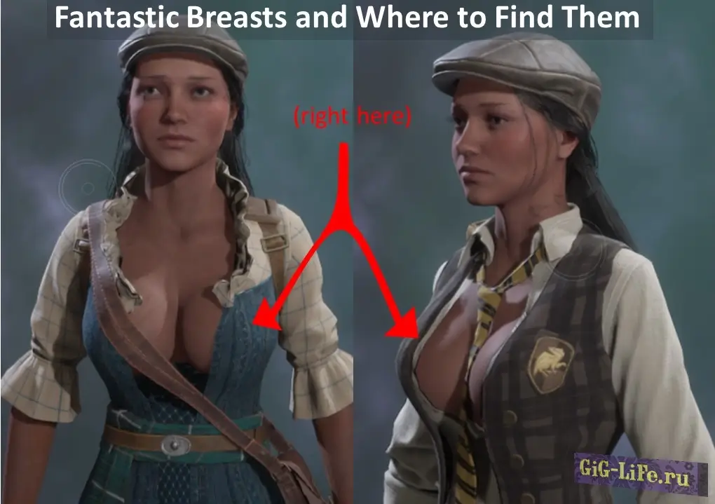 Hogwarts Legacy — Увеличенная женская грудь | Enlarged female breasts