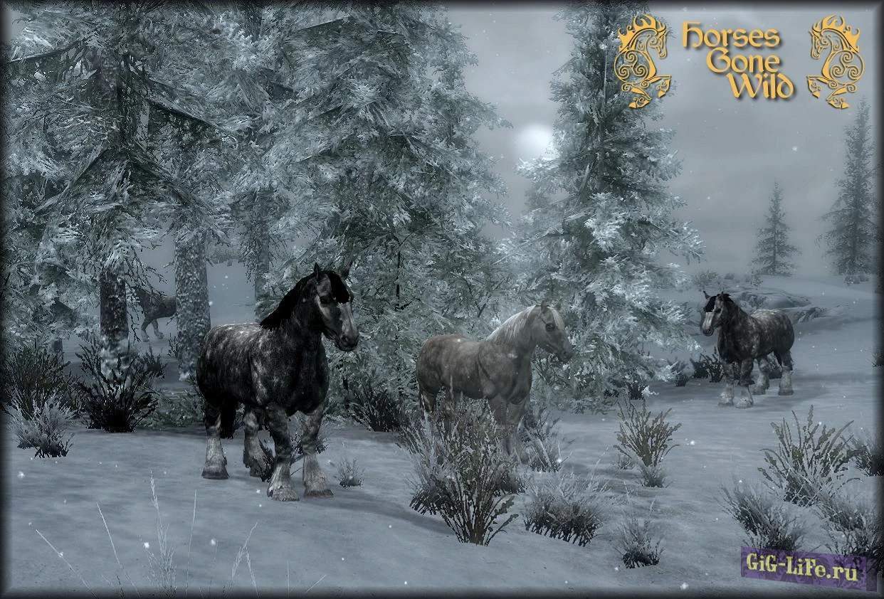 Skyrim — Табуны диких лошадей | Horses Gone Wild