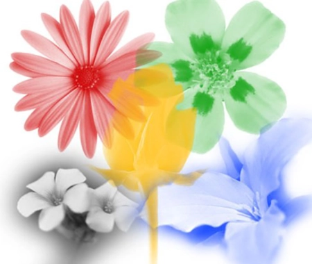Кисть для Photoshop - Цветы | Flowers