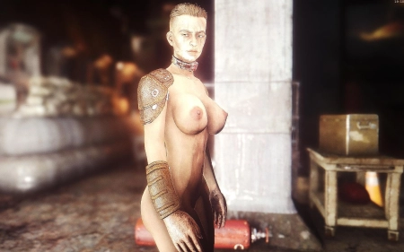 Fallout 4 — Боевая полоса | Combat Strip Lite
