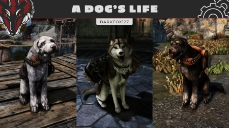 Skyrim — Собачья жизнь | A Dog's Life